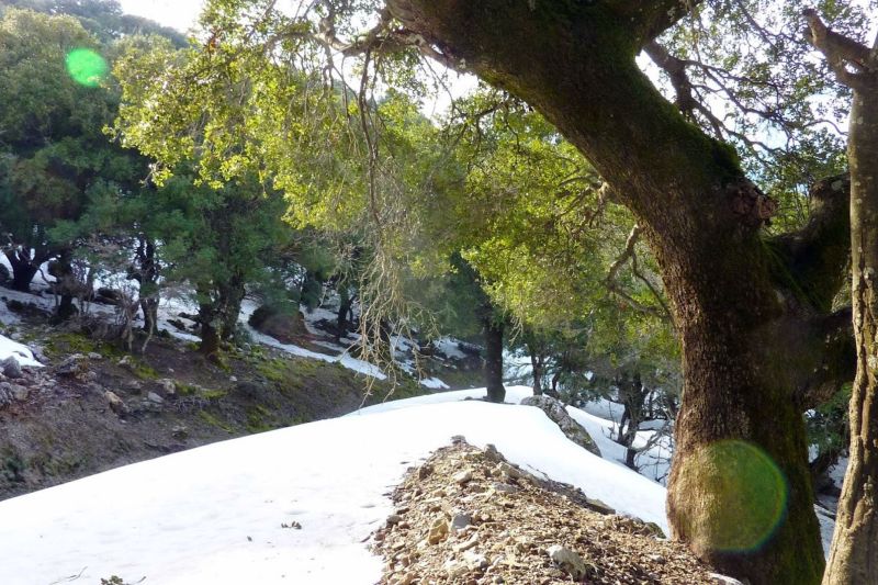 NATURAL LANDSCAPES
