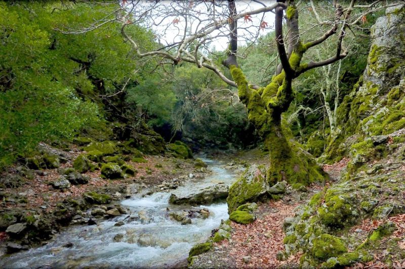 NATURAL LANDSCAPES