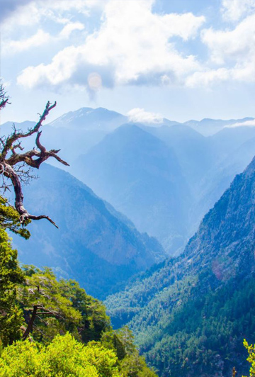 NATURAL LANDSCAPES